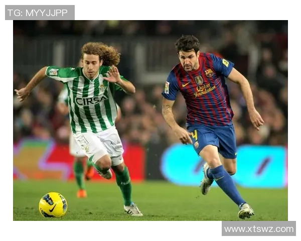 汉堡与基尔比赛比分深入分析及战术对比探讨